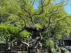 -同里国家湿地公园