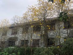 -国恩寺