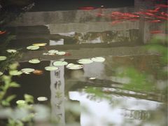 -苏州文旅花间堂·探花府酒店