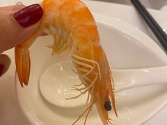 -宝燕海鲜(好爱店)