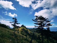 -秦岭风景区