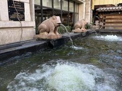-九号温泉生活馆