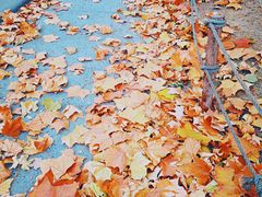 -天津东丽湖风景区