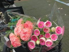 -石井坡(地铁站)