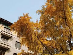 -君庭中餐厅(友谊宾馆店)