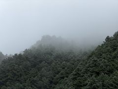 -苍山感通索道