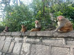 -黔灵山公园