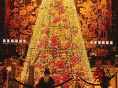 -长沙富力万达文华酒店