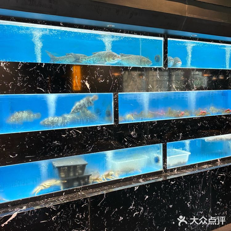 新荣记平替！人均100+吃到扶墙出！