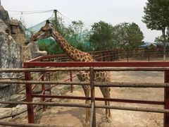 -五龙山野生动物王国