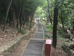 -穹窿山景区