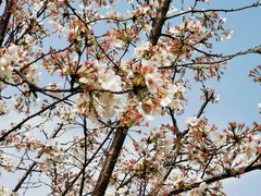 -UNI UNI(环亚凯瑟琳店)