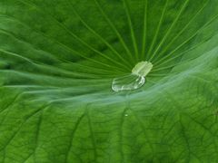 -高子水居