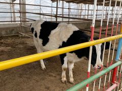 -南宫五洲植物乐园