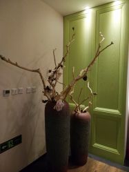 -盘子女人坊古装写真摄影(天津总店)