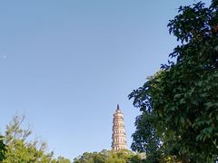 -顺峰山公园