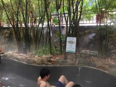 -嘉和K6温泉微度假