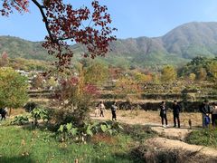 -塔川景区