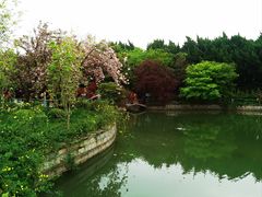 -嘉定紫藤园