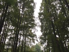 -灵栖洞天