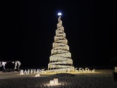 -海南清水湾莱佛士酒店