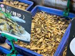 -渡海小渔村.老辈日照菜