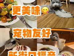 -沏点Trattoria意大利餐厅(新街口店)