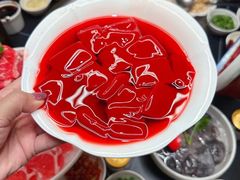 -蜀九香火锅(彩虹店)