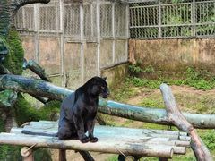 -宁波野生动物园