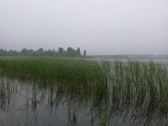 景点-野鸭湖国家湿地公园