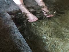 -明谷行馆·温泉