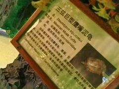-上海大自然野生昆虫馆(东方明珠·爬宠昆虫探索中心)