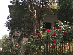 -湖北省中医院(花园山院区)