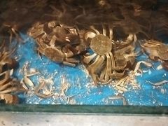 -川骄海鲜自助(亚运村店)