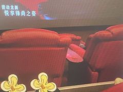 -SFC上影影城(成都科华IMAX店)