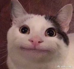 -艾嘉形象