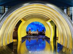 -迪拜帆船酒店海底餐厅