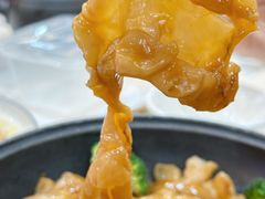 -有腥气私房菜·寻味顺德