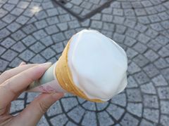 化得太快-神户六甲牧场(北野本店)