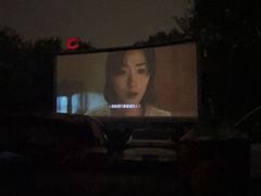 -枫花园汽车电影院(朝阳公园店)