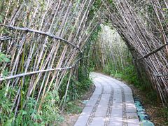 景点-晋江五店市传统文化旅游区