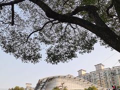 -沈坚强游泳俱乐部(长征分部)