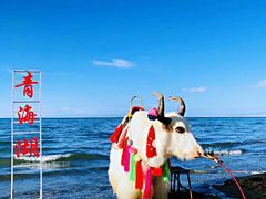 -青海湖国家重点风景名胜区