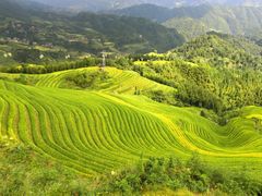 -龙脊梯田