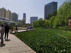 -雁滩公园