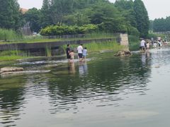 -滆湖低碳生态公园
