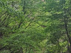 -九龙潭景区
