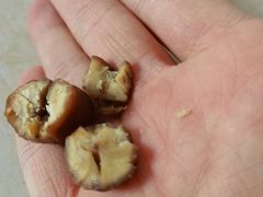 -粒上皇(扬名广场店)