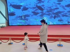 -贝林大翅鲸简餐厅(国家海洋博物馆店)