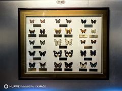 -上海昆虫博物馆